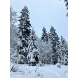 photo miniature
